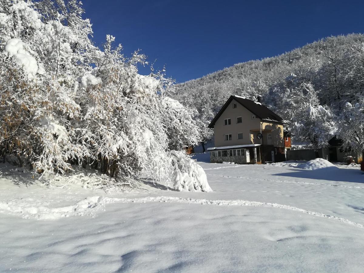 Rafting Camp Apartments Montenegro Goran Lekovic Žabljak エクステリア 写真