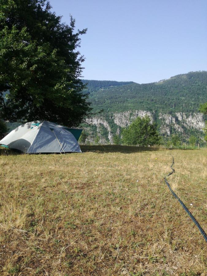 Rafting Camp Apartments Montenegro Goran Lekovic Žabljak エクステリア 写真