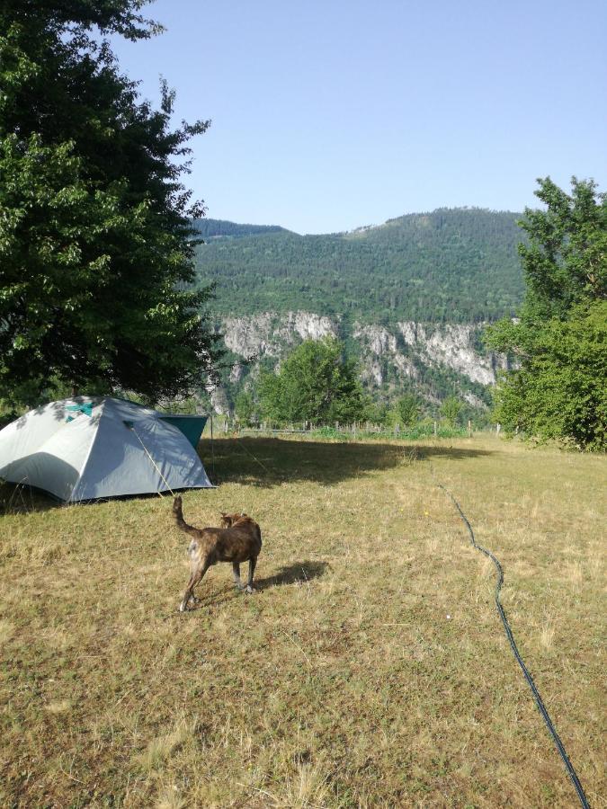 Rafting Camp Apartments Montenegro Goran Lekovic Žabljak エクステリア 写真