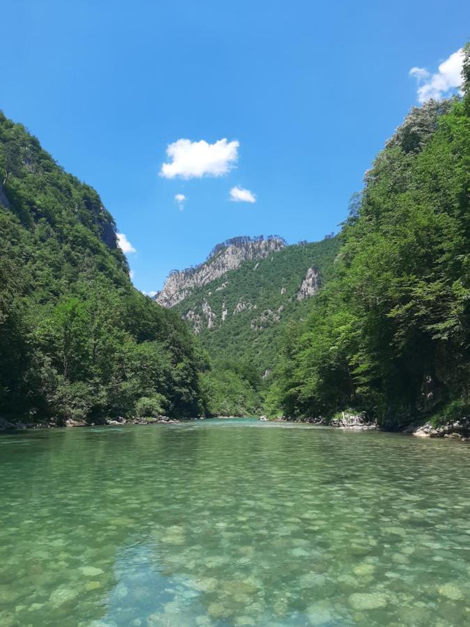 Rafting Camp Apartments Montenegro Goran Lekovic Žabljak エクステリア 写真