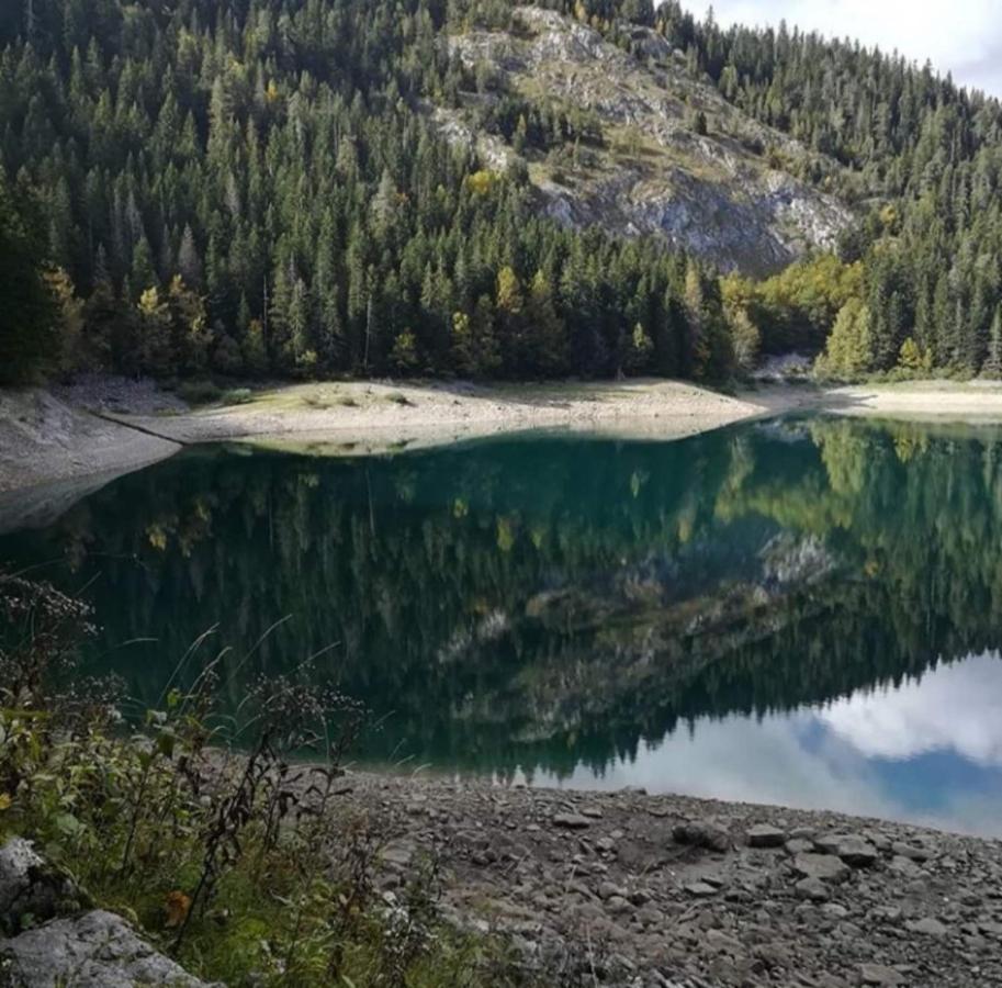 Rafting Camp Apartments Montenegro Goran Lekovic Žabljak エクステリア 写真